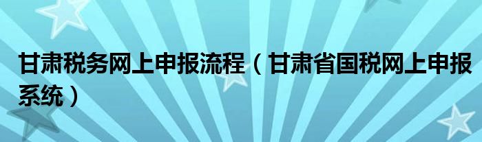 甘肃税务网上申报流程（甘肃省国税网上申报系统）