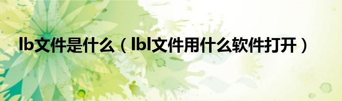 lb文件是什么（lbl文件用什么软件打开）