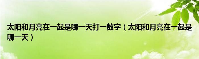 太阳和月亮在一起是哪一天打一数字（太阳和月亮在一起是哪一天）