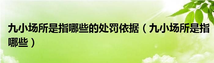 九小场所是指哪些的处罚依据（九小场所是指哪些）