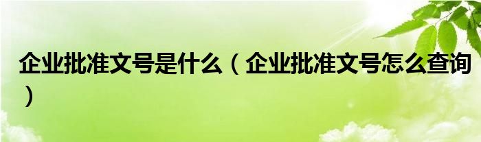 企业批准文号是什么（企业批准文号怎么查询）