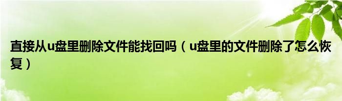 直接从u盘里删除文件能找回吗（u盘里的文件删除了怎么恢复）