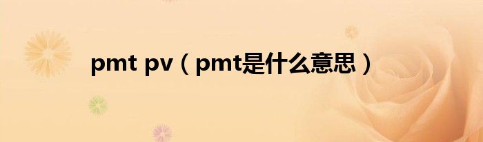 pmt pv（pmt是什么意思）