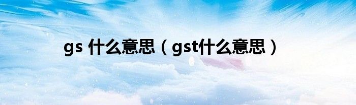 gs 什么意思（gst什么意思）