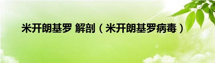 米开朗基罗 解剖（米开朗基罗病毒）