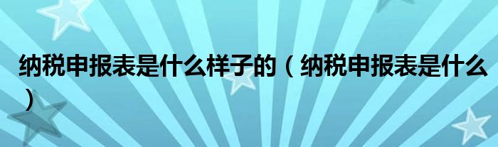 纳税申报表是什么样子的（纳税申报表是什么）