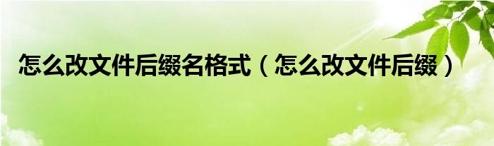 怎么改文件后缀名格式（怎么改文件后缀）