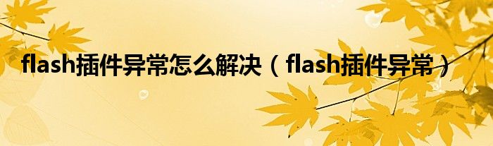 flash插件异常怎么解决（flash插件异常）