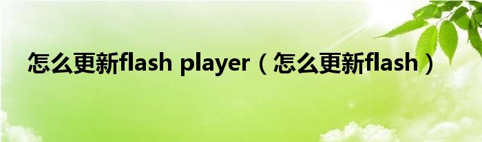 怎么更新flash player（怎么更新flash）