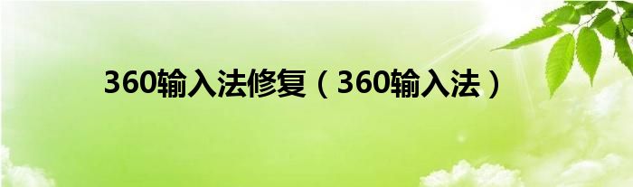 360输入法修复（360输入法）