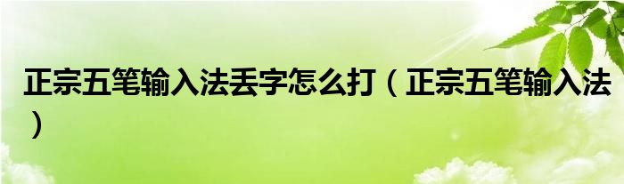 正宗五笔输入法丢字怎么打（正宗五笔输入法）