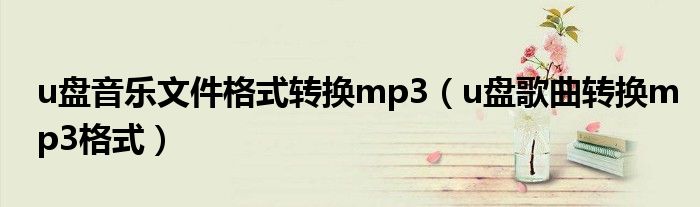 u盘音乐文件格式转换mp3（u盘歌曲转换mp3格式）