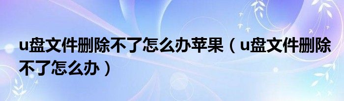 u盘文件删除不了怎么办苹果（u盘文件删除不了怎么办）