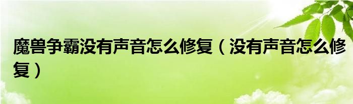 魔兽争霸没有声音怎么修复（没有声音怎么修复）