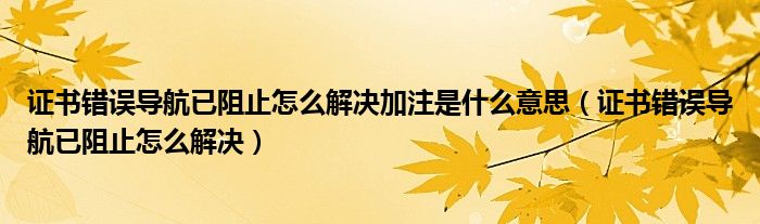 证书错误导航已阻止怎么解决加注是什么意思（证书错误导航已阻止怎么解决）