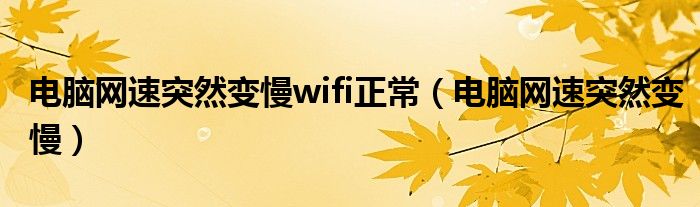 电脑网速突然变慢wifi正常（电脑网速突然变慢）