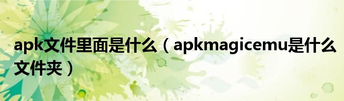 apk文件里面是什么（apkmagicemu是什么文件夹）