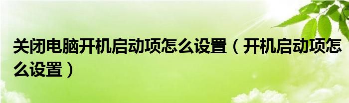 关闭电脑开机启动项怎么设置（开机启动项怎么设置）