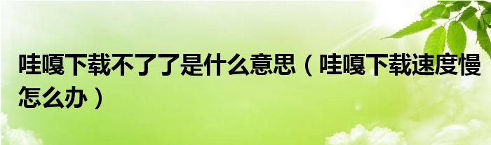 哇嘎下载不了了是什么意思（哇嘎下载速度慢怎么办）