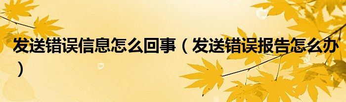 发送错误信息怎么回事（发送错误报告怎么办）