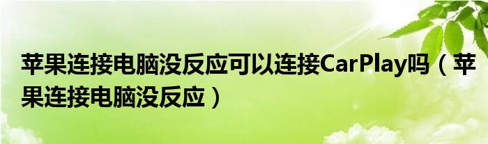 苹果连接电脑没反应可以连接CarPlay吗（苹果连接电脑没反应）