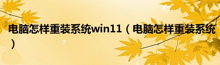 电脑怎样重装系统win11（电脑怎样重装系统）