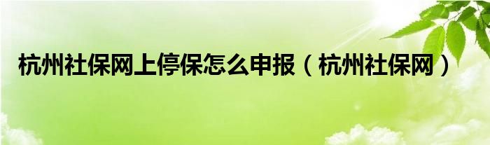 杭州社保网上停保怎么申报（杭州社保网）