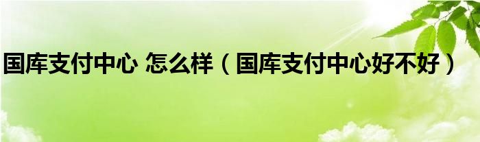 国库支付中心 怎么样（国库支付中心好不好）