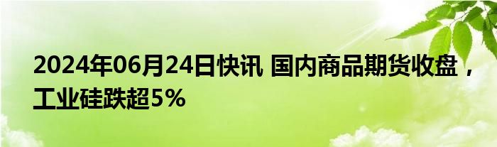 2024年06月24日快讯 国内商品期货收盘，工业硅跌超5%