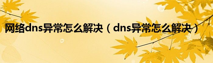 网络dns异常怎么解决（dns异常怎么解决）