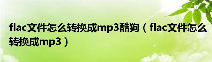 flac文件怎么转换成mp3酷狗（flac文件怎么转换成mp3）