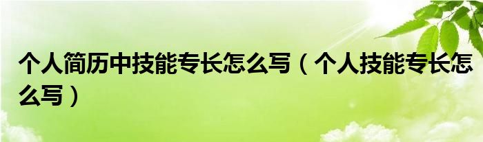 个人简历中技能专长怎么写（个人技能专长怎么写）