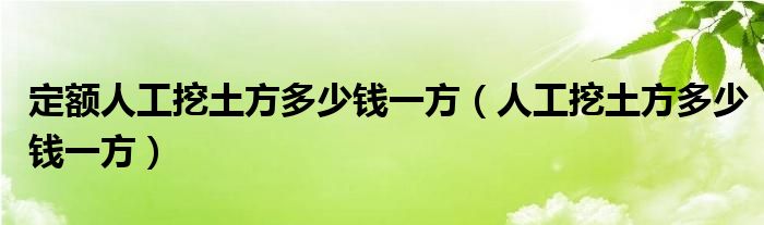 定额人工挖土方多少钱一方（人工挖土方多少钱一方）