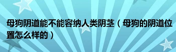 母狗阴道能不能容纳人类阴茎（母狗的阴道位置怎么样的）