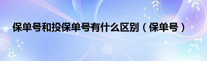 保单号和投保单号有什么区别（保单号）