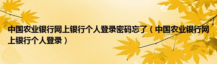 中国农业银行网上银行个人登录密码忘了（中国农业银行网上银行个人登录）