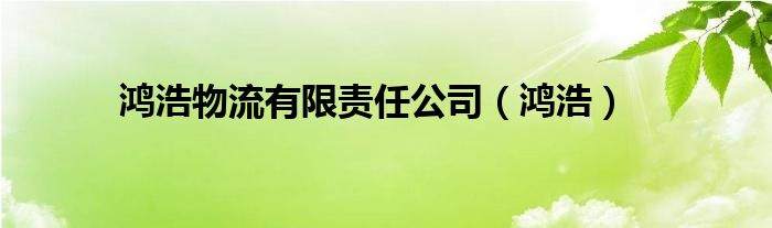 鸿浩物流有限责任公司（鸿浩）