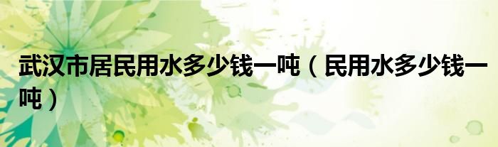 武汉市居民用水多少钱一吨（民用水多少钱一吨）