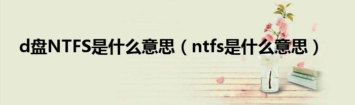 d盘NTFS是什么意思（ntfs是什么意思）