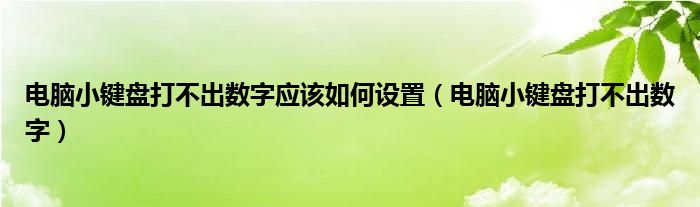 电脑小键盘打不出数字应该如何设置（电脑小键盘打不出数字）