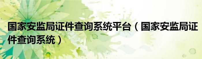 国家安监局证件查询系统平台（国家安监局证件查询系统）