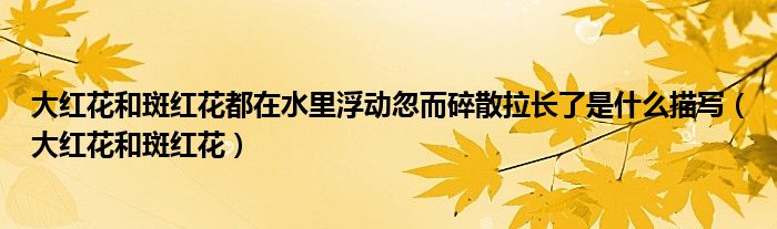 大红花和斑红花都在水里浮动忽而碎散拉长了是什么描写（大红花和斑红花）