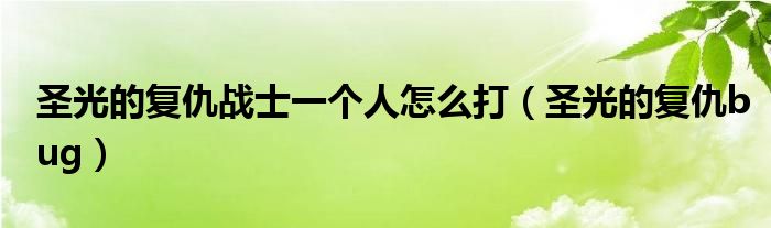 圣光的复仇战士一个人怎么打（圣光的复仇bug）