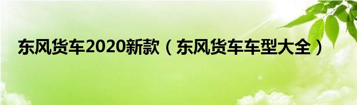 东风货车2020新款（东风货车车型大全）