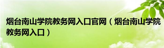 烟台南山学院教务网入口官网（烟台南山学院教务网入口）