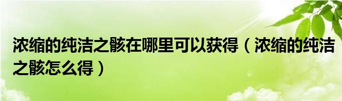 浓缩的纯洁之骸在哪里可以获得（浓缩的纯洁之骸怎么得）