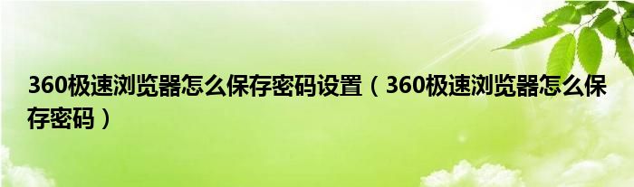 360极速浏览器怎么保存密码设置（360极速浏览器怎么保存密码）