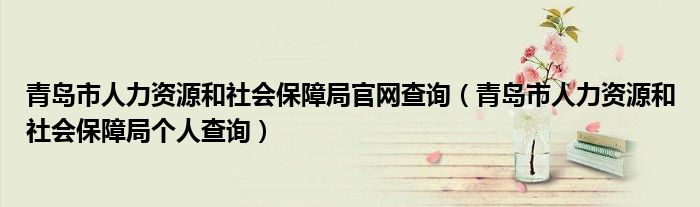 青岛市人力资源和社会保障局官网查询（青岛市人力资源和社会保障局个人查询）