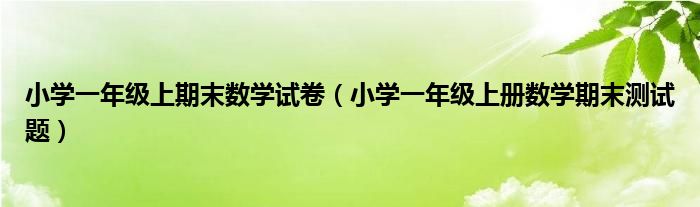 小学一年级上期末数学试卷（小学一年级上册数学期末测试题）