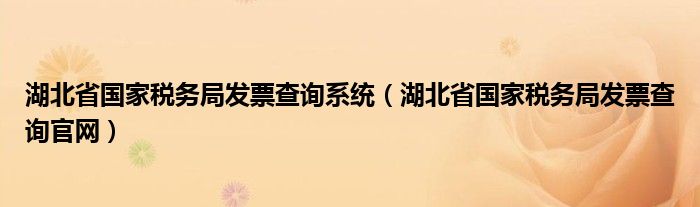 湖北省国家税务局发票查询系统（湖北省国家税务局发票查询官网）